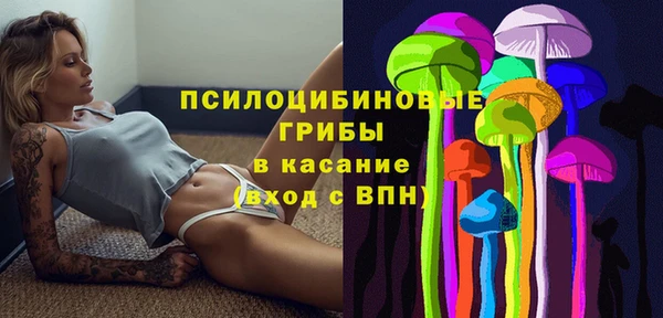 мескалин Гусь-Хрустальный